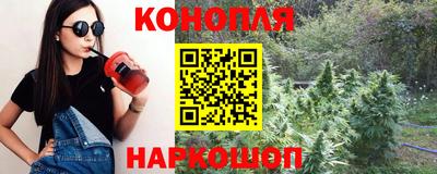 шишки Ипатово