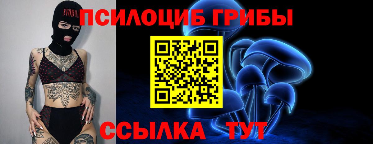 Псилоцибиновые грибы Psilocybe  Псилоцибиновые грибы мухоморы  Вход с VPN  наркота  Ливны 